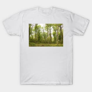 Green Leaved Trees in a Forest T-Shirt